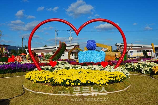 탐진강 갈대숲 과 제10회 강진맍 춤추는 갈대축제 스케치 (27일 오전 10시경 사진촬영 /조경륜)