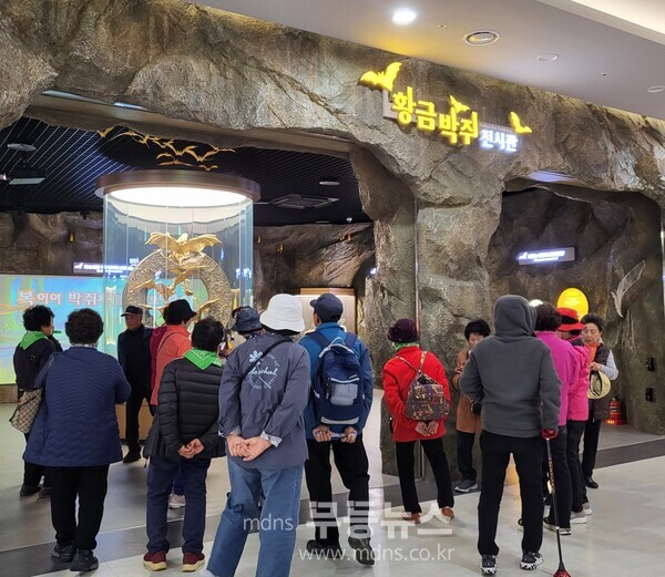 함평군 ‘추억공작소·황금박쥐전시관’ 인기_황금박쥐전시관 전경./함평군 제공