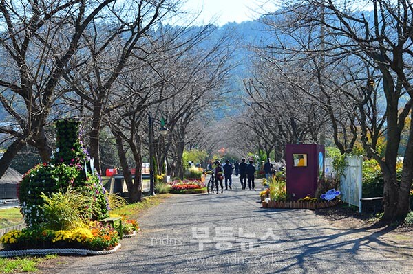 2025 국제농업박람회 /  관객들의 입구에 섫치된 시군별 부스 / 관관객들은 행사장 입구 부터 볼거리가 너무 빈약하다고 이구동성으로 말을 했다.(사진촬영 / 조경륜)