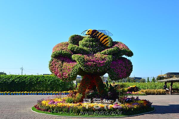 2025 국제농업박람회 (사진촬영 / 조경륜)