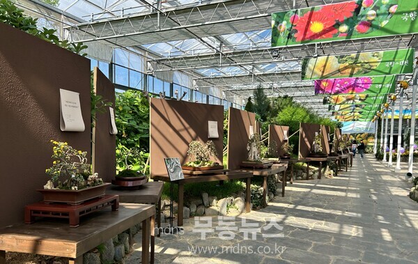 명품분재전시관 전경, 국향대전 역사관 내부 모습