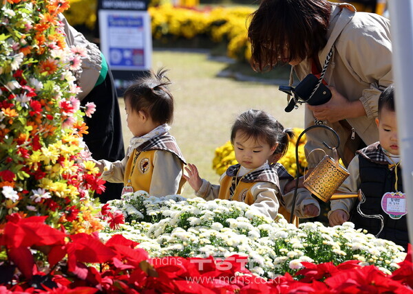 제10회 강진만 춤추는 갈대축제가 한창인 가운데 강진만 생태공원에 마련된 국화꽃정원에서 관광객들이 가을을 맘껏 즐기고 있다./강진군 제공