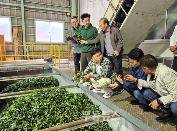 보성군, 일본 시즈오카 벤치마킹 통해 ‘K-TEA 보성말차’ 글로벌 성장 시동_ 시즈오카현립 차업연구센터에서 스마트 가공·품질 관리 시스템을 확인하고 있다./보성군 제공
