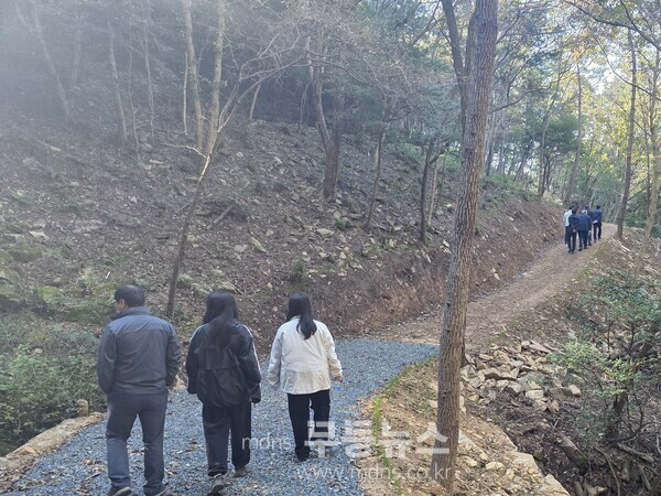 보은산 트레킹길