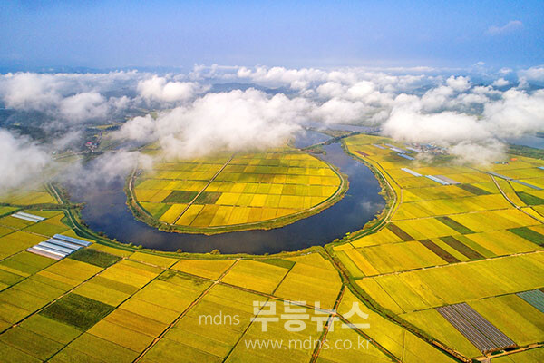 ‘남도의 젖줄’ 영산강 유역에 드넓게 펼쳐진 나주평야. 나주가 ‘농도 전남’의 대표 지역임을 보여준다. (전체사진 / 나주시 제공)