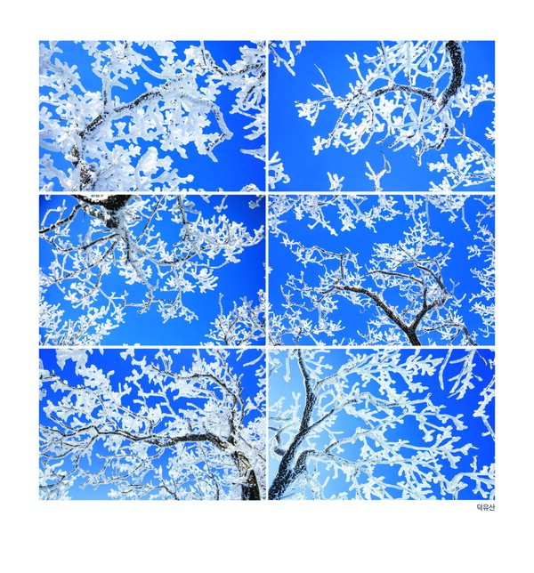 최인옥 작'덕유산'