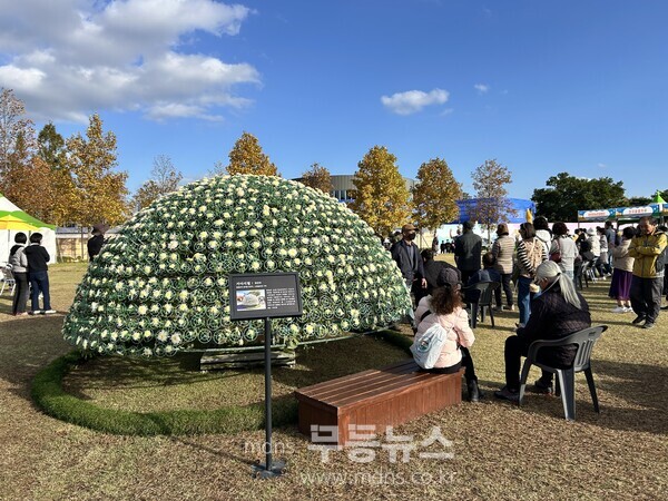 2025 대한민국 국향대전 천간작