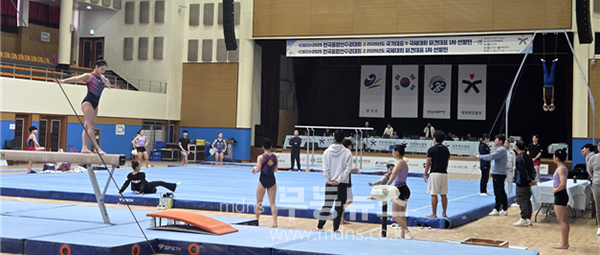경기중인 선수들 (대한체조협회 제공)