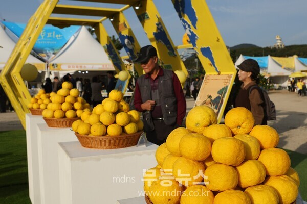  ‘제5회 고흥유자축제’에 출품된 유자들이 전시되어 있다./사진=유진석기자