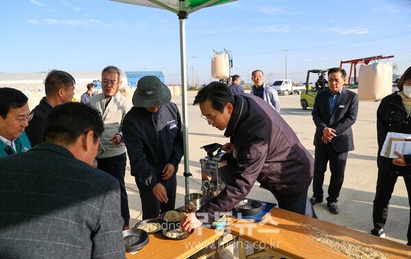 2024년산 공공비축 건조벼 수매