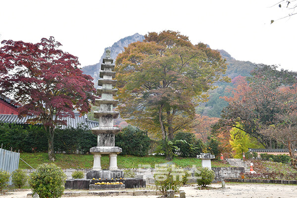 장성 백양사 . (사진촬영 ; 2025년 11월 8일, 조경륜)