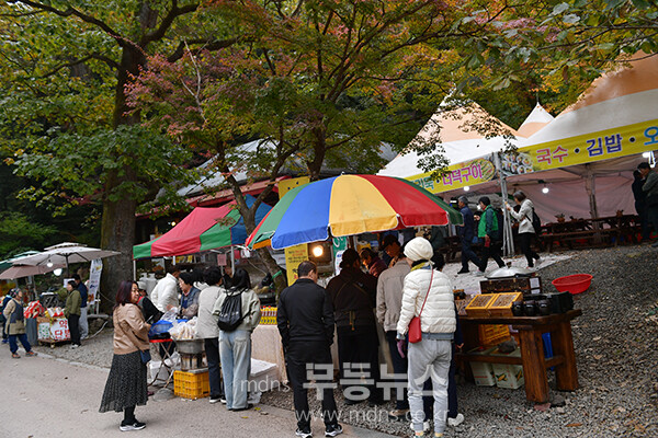장성 백양사. 이른 아침 간식을 먹기 위해 줄을 서서 대기중인 관광객들 (사진촬영 ; 2025년 11월 8일, 조경륜)