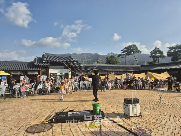 영암군 목재누리 페스티벌_버블쇼