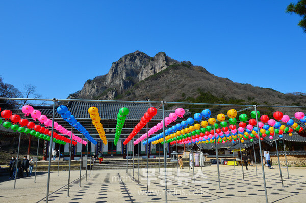 장성 백양사 (자료사진)