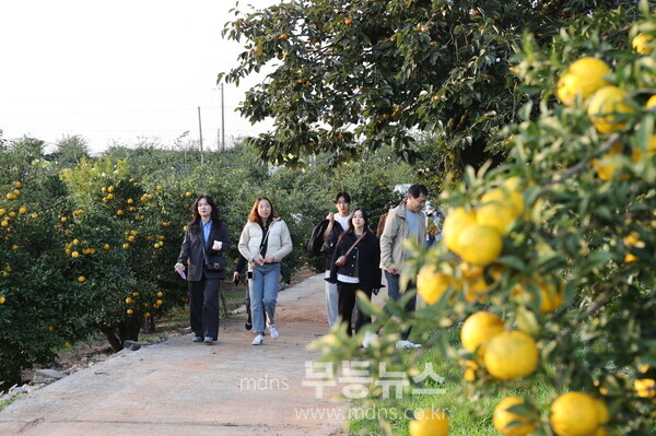 제5회 고흥유자축제 성대한 마무리,