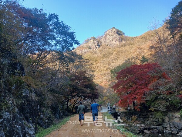 담양 가마골생태공원, 단풍길 따라 걷기 좋은 흙길 산책로 조성