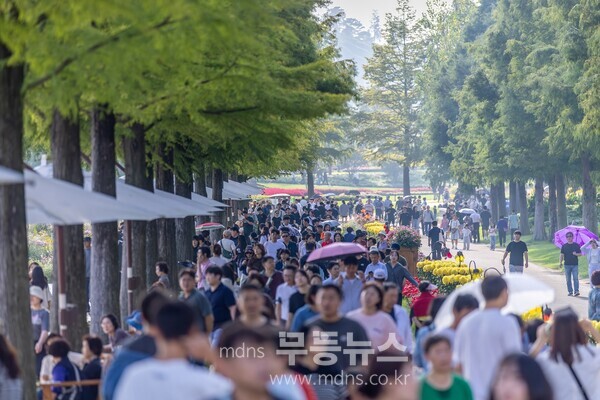 관람객으로 붐비는 순천만국가정원 낙우송길