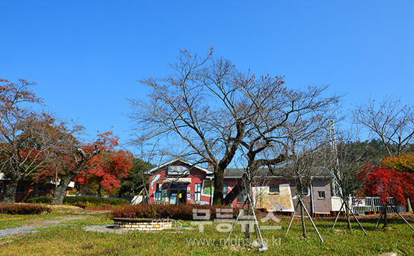 보성 명봉역 (사진촬영 / 조경륜)