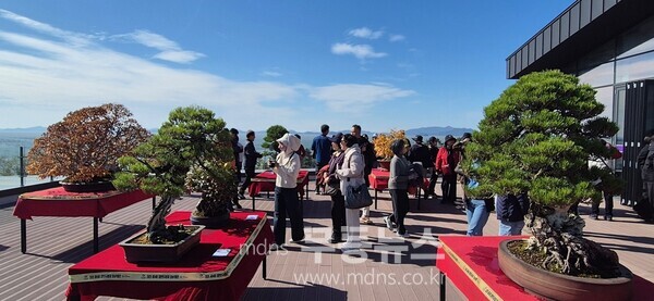  ‘2025 ABFF 컨벤션&대한민국 분재 대전’