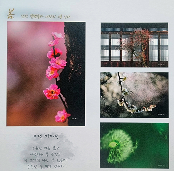  '정순애디카시집 괜찮아' 