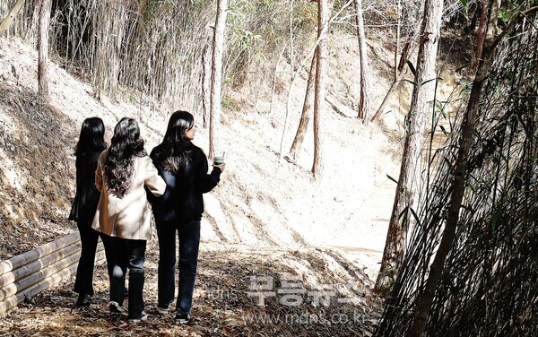 함평군 기산봉 힐링숲길 산책 사진