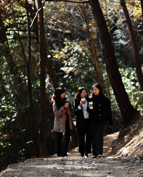 (사진자료)‘기산영수’ 함평군, 기산봉 힐링 숲길 조성…사계절 명소 재탄생