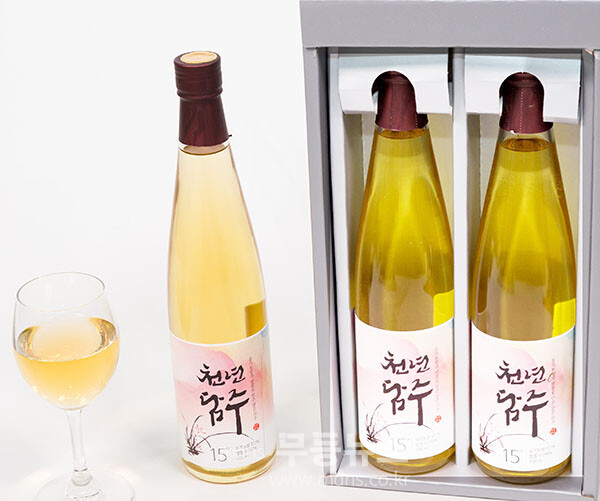 천년 담주 (전남도 제공)