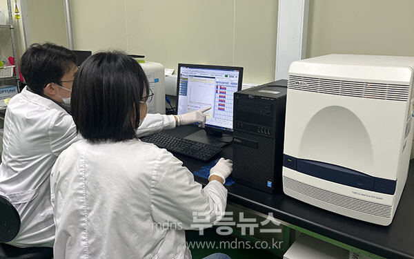 노바이러스를 검사하고 있는 전남도보건환경연구원 (전남도 제공)