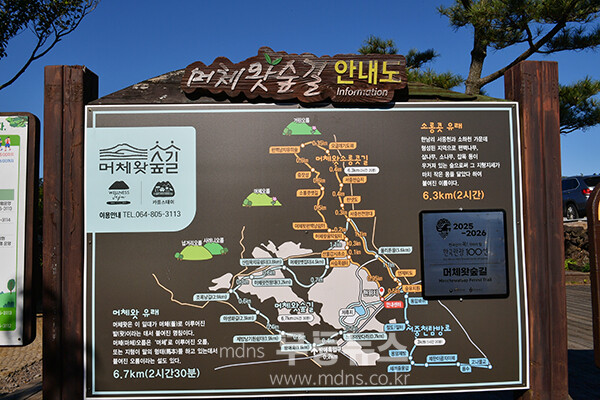 남원읍에 위치한 ‘메체왓숲길 (25년 11월 16일 사진촬영 / 조경륜)