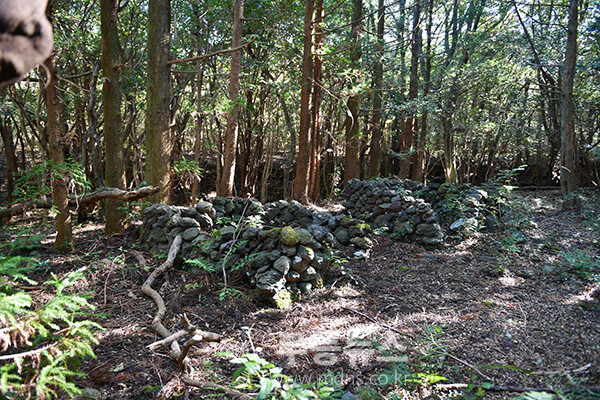 남원읍에 위치한 ‘메체왓숲길 (25년 11월 16일 사진촬영 / 조경륜)