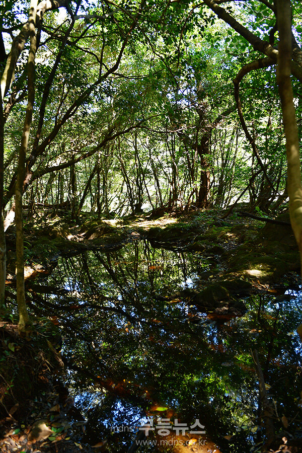남원읍에 위치한 ‘메체왓숲길 (25년 11월 16일 사진촬영 / 조경륜)