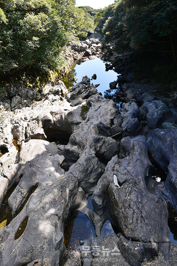 남원읍에 위치한 ‘메체왓숲길 (25년 11월 16일 사진촬영 / 조경륜)
