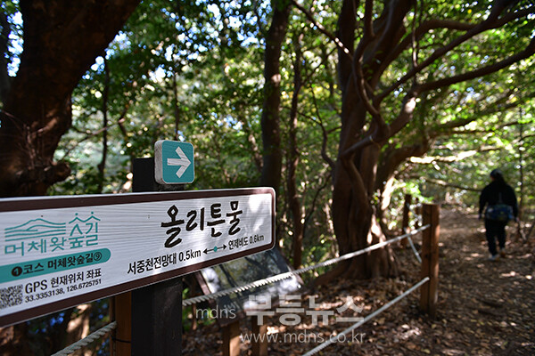 남원읍에 위치한 ‘메체왓숲길 (25년 11월 16일 사진촬영 / 조경륜)