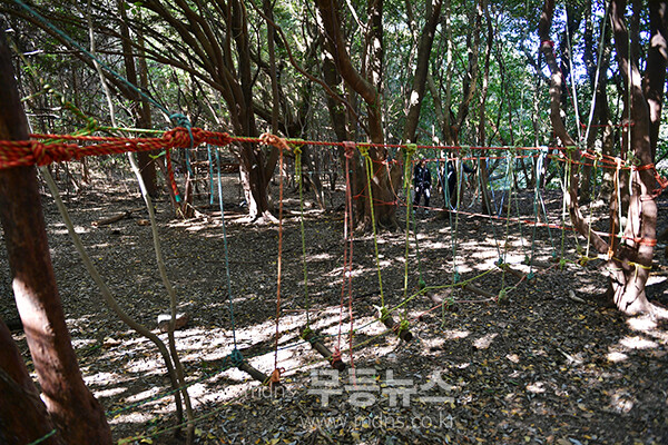 남원읍에 위치한 ‘메체왓숲길 숲 유치원 (25년 11월 16일 사진촬영 / 조경륜)