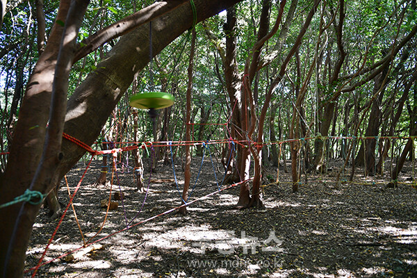 남원읍에 위치한 ‘메체왓숲길 숲 유치원 (25년 11월 16일 사진촬영 / 조경륜)