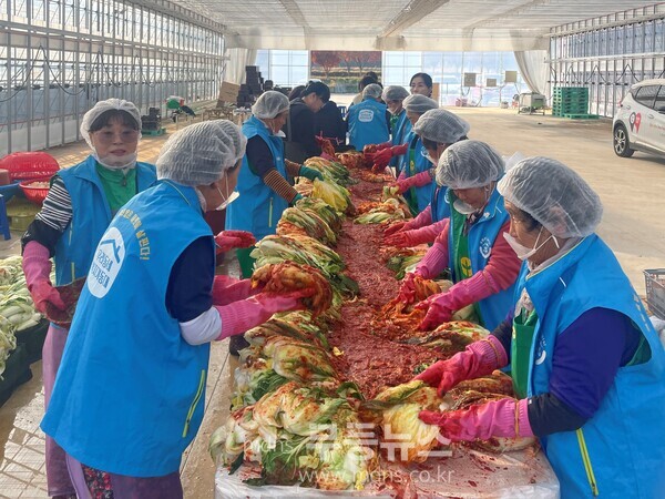 이서면, ‘2025년 따뜻한 겨울나기 사랑의 김장김치 나눔 행사’ 펼쳐/화순군 제공