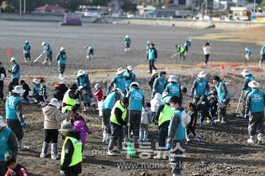 여수환경운동연합 제공사진